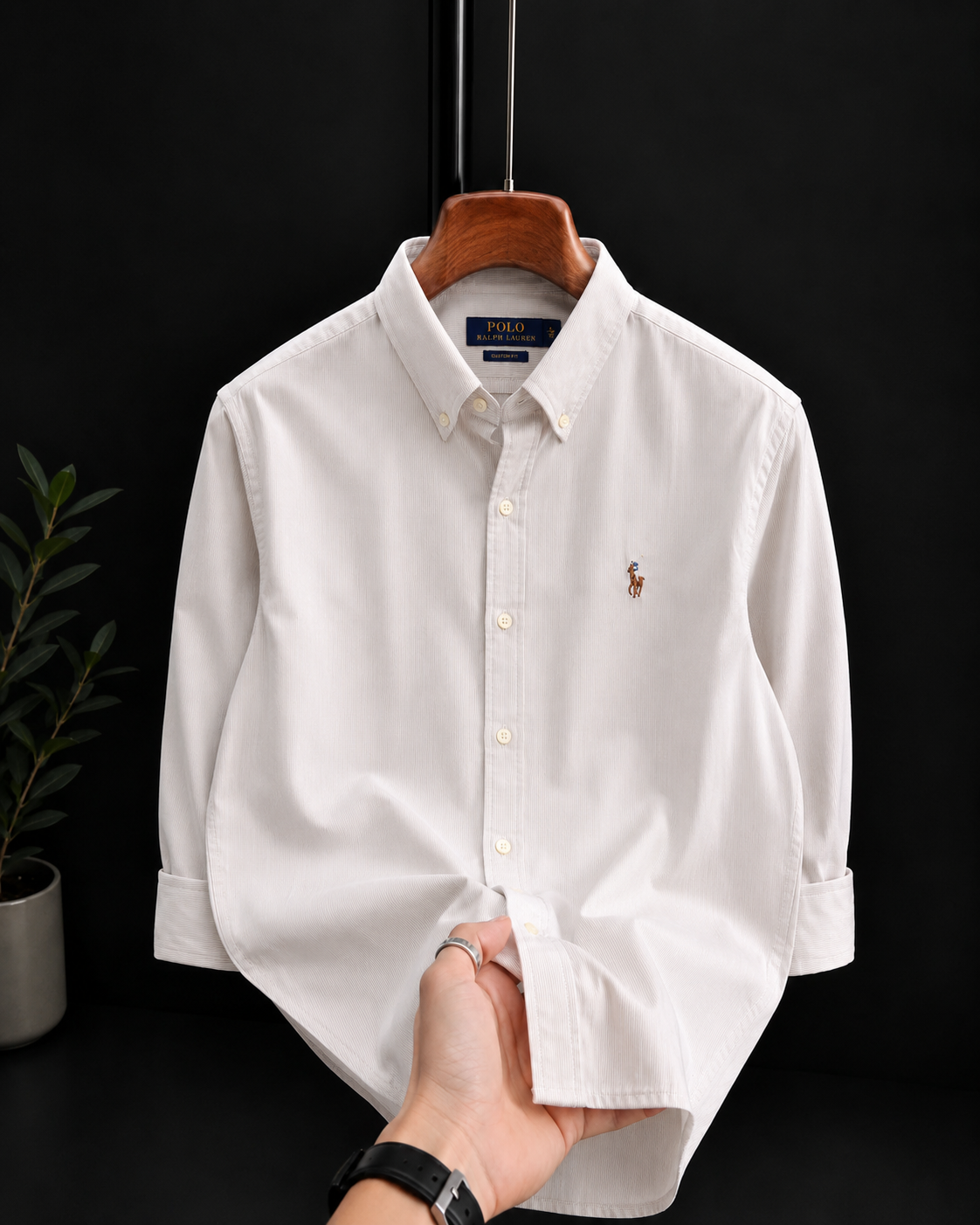 Brown Stripes oxford shirt (Pencil)